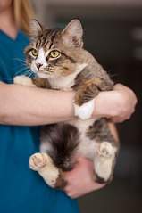 537 X 807  48.5 Kb ,         !    !