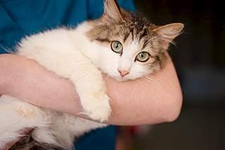 807 X 537  50.7 Kb 537 X 807  55.8 Kb 807 X 537  62.7 Kb 537 X 807  60.3 Kb 537 X 807  48.5 Kb ,         !    !