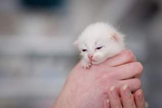 807 X 537  28.5 Kb 807 X 537  47.6 Kb 807 X 537  55.5 Kb 807 X 537  41.7 Kb ,         !    !