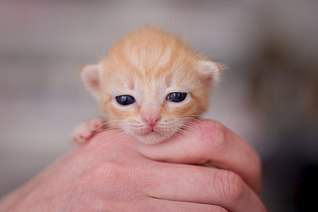 807 X 537  34.5 Kb 807 X 537  28.5 Kb 807 X 537  47.6 Kb 807 X 537  55.5 Kb 807 X 537  41.7 Kb ,         !    !