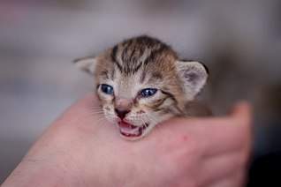 807 X 537  37.2 Kb 807 X 537  37.2 Kb ,         !    !