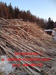 576 X 768 242.2 Kb , -   . , , -!