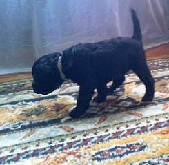 1558 X 1524 782.9 Kb   - .