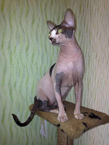 1080 X 1440 130.8 Kb      50% !