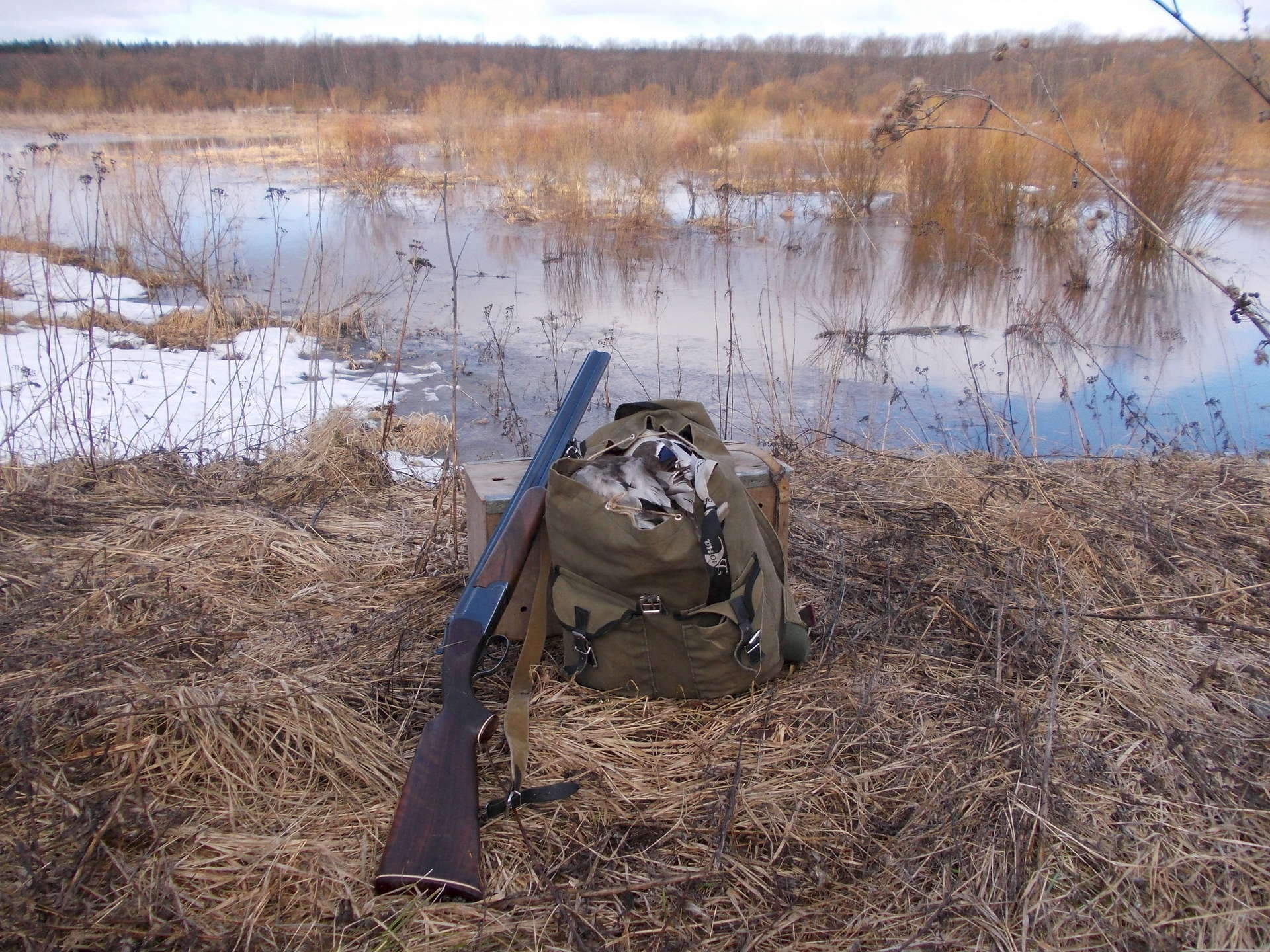 Сроки охоты в алтайском крае 2024. Охота на уток. Весенняя охота.