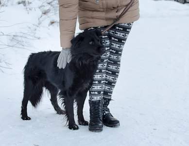 1280 X 986 120.0 Kb      !