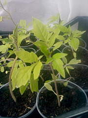 1920 X 2560 494.8 Kb    