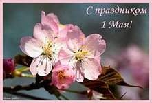 221 x 150 Клуб 'Сила Добра.' помощь людям в трудной жизненной ситуации.