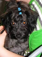 1944 X 2592 478.1 Kb        