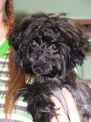 1944 X 2592 487.0 Kb 1944 X 2592 478.1 Kb        