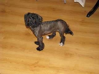 1920 X 1440 142.6 Kb 1944 X 2592 487.0 Kb 1944 X 2592 478.1 Kb        