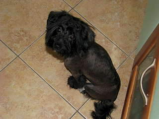 1920 X 1440 221.9 Kb 1920 X 1440 142.6 Kb 1944 X 2592 487.0 Kb 1944 X 2592 478.1 Kb        