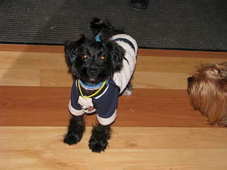 1920 X 1440 205.2 Kb 1920 X 1440 221.9 Kb 1920 X 1440 142.6 Kb 1944 X 2592 487.0 Kb 1944 X 2592 478.1 Kb        