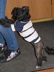 1944 X 2592 408.5 Kb        