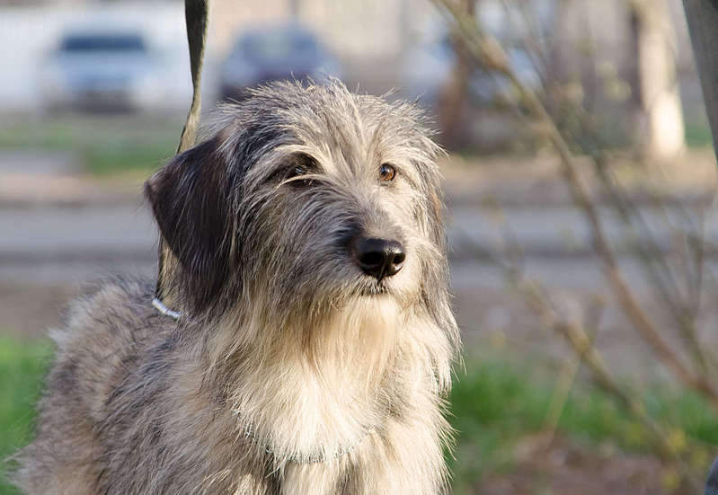 1920 X 1323 228.9 Kb   .