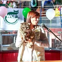 604 X 604  83.4 Kb 604 X 403  49.8 Kb    