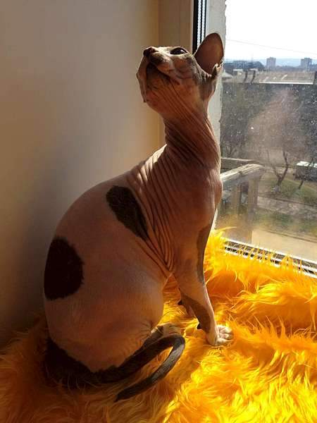 1080 X 1440 101.0 Kb      10 000 .