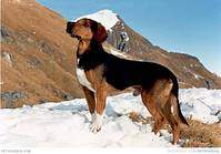 659 X 461 39.0 Kb - : , , !