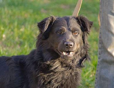 1920 X 1482 258.5 Kb      !