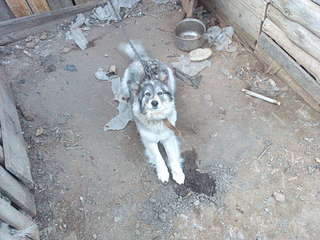 1920 X 1440 476.1 Kb     