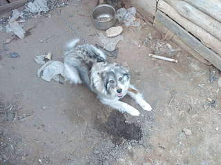 1920 X 1440 482.7 Kb 1920 X 1440 476.1 Kb     