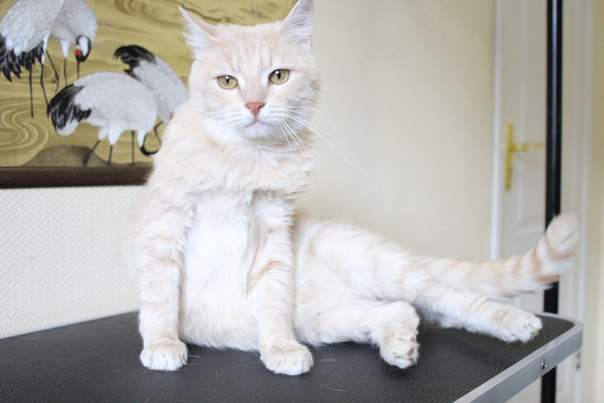 604 x 403 604 x 403  ...   !  .