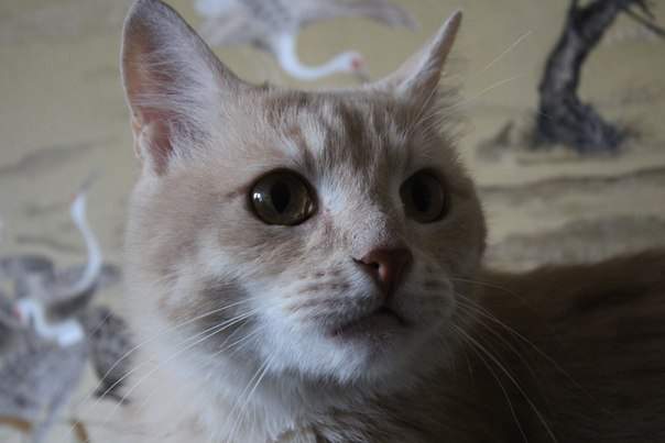 604 x 403 604 x 403 604 x 403 604 x 403  ...   !  .