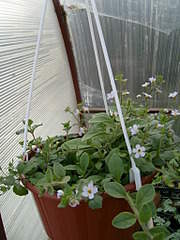 1536 X 2048 322.6 Kb 1536 X 2048 264.3 Kb    .