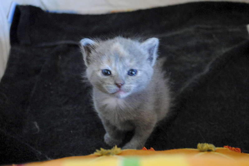 1920 X 1285 191.2 Kb     