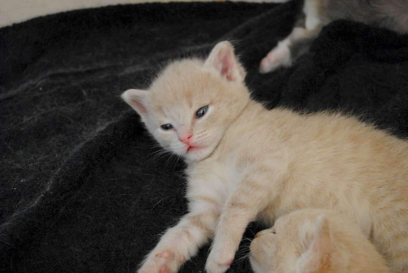 1920 X 1285 214.9 Kb 1920 X 1285 191.2 Kb     