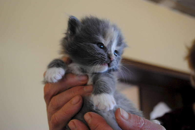 1920 X 1285 152.4 Kb 1920 X 1285 214.9 Kb 1920 X 1285 191.2 Kb     