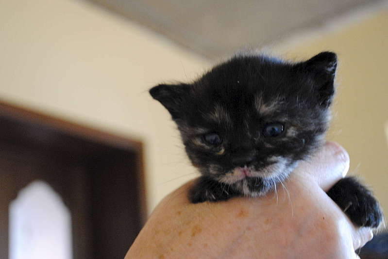 1920 X 1285 165.9 Kb 1920 X 1285 152.4 Kb 1920 X 1285 214.9 Kb 1920 X 1285 191.2 Kb     