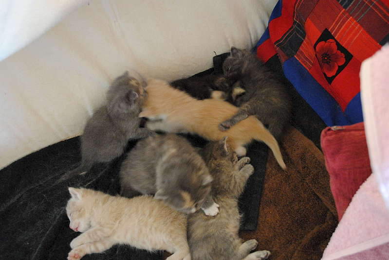 1920 X 1285 227.2 Kb 1920 X 1285 165.9 Kb 1920 X 1285 152.4 Kb 1920 X 1285 214.9 Kb 1920 X 1285 191.2 Kb     