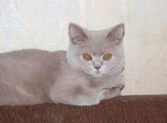 548 x 403 586 x 513   ! !  !