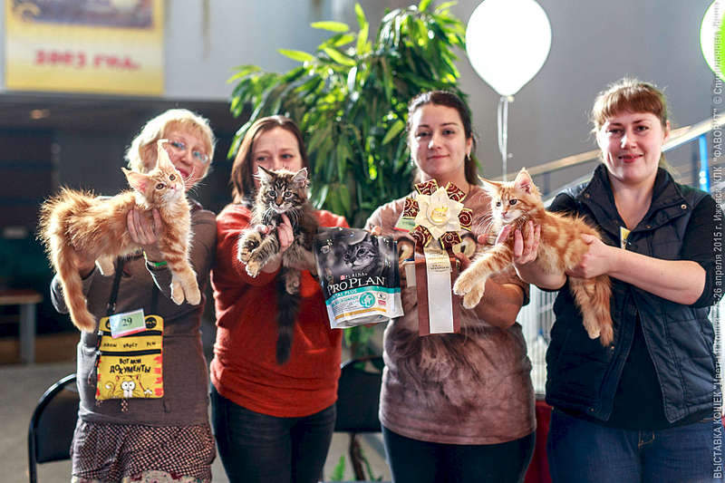 1920 X 1280 281.9 Kb 611 x 527 1920 X 1920 250.2 Kb 1920 X 1015 291.4 Kb -   !