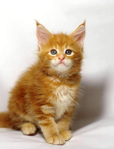 1920 X 2499 190.5 Kb 673 X 835  89.6 Kb 731 X 1024 165.7 Kb -   !