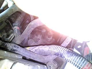 1920 X 1440 164.3 Kb     