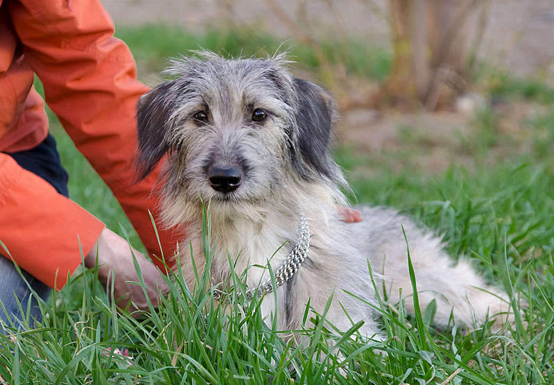 1920 X 1333 323.9 Kb   .