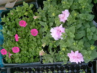 2048 X 1536 345.4 Kb    .