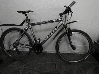 1920 X 1440 262.1 Kb   Stels Navigator 910,  19"