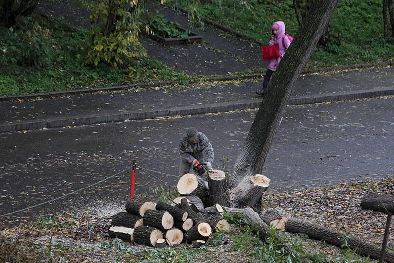 1920 X 1280 381.3 Kb борьба с 'цепочками' в наших дворах! За и Против