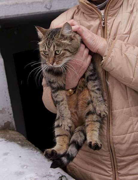 1920 X 2498 231.9 Kb  ,    .