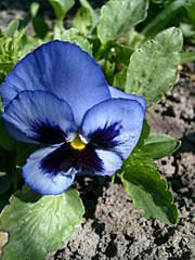 1536 X 2048 293.3 Kb    .