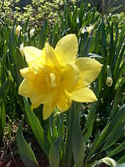 1536 X 2048 309.1 Kb 1536 X 2048 325.7 Kb 1536 X 2048 293.3 Kb    .