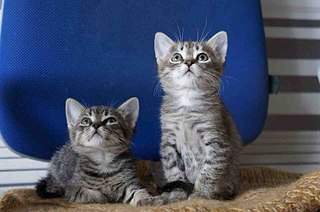 807 X 536 76.9 Kb 807 X 536 54.2 Kb 807 X 536 44.1 Kb 807 X 536 59.7 Kb    