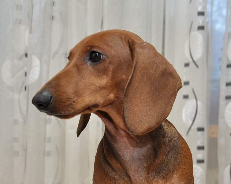 1590 X 1263 645.8 Kb 1920 X 1280 149.0 Kb   