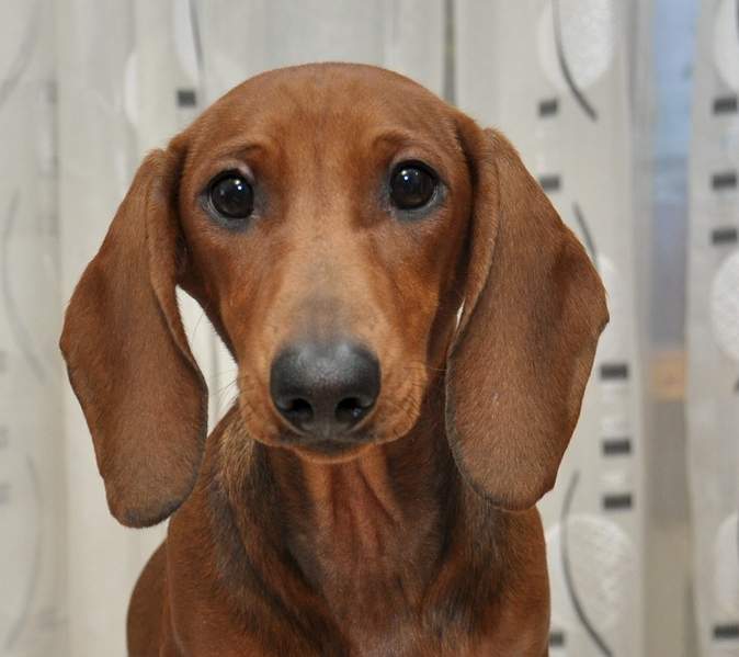 1136 X 1010 422.2 Kb 1590 X 1263 645.8 Kb 1920 X 1280 149.0 Kb   