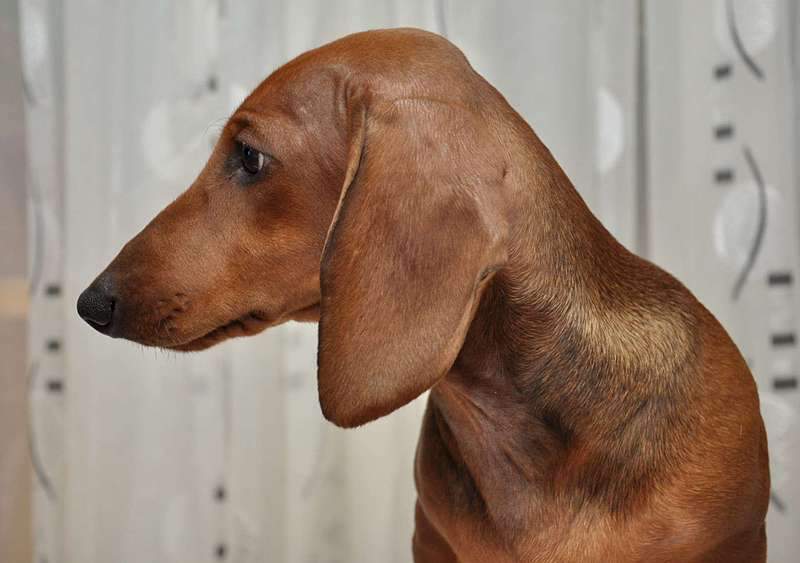 1920 X 1352 195.5 Kb 1136 X 1010 422.2 Kb 1590 X 1263 645.8 Kb 1920 X 1280 149.0 Kb   