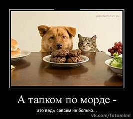 604 X 541  46.9 Kb Улыбнемся?