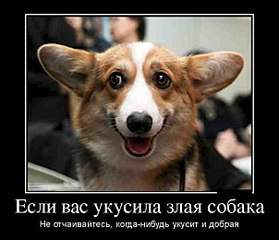 604 X 519  48.0 Kb Улыбнемся?